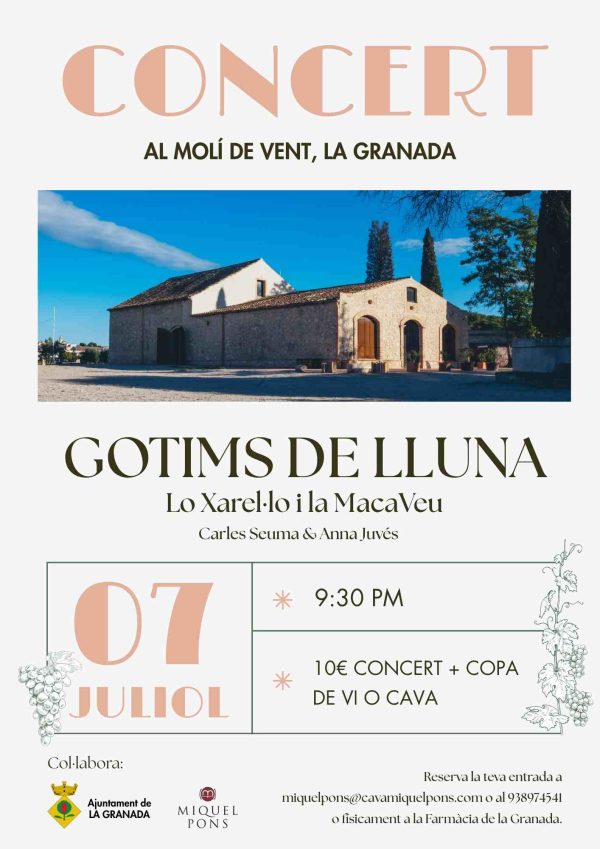 Concert GOTIMS DE LLUNA 7 de Juliol